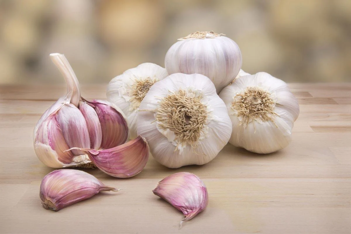 The Health Benefits of Garlic: Allicin Benefits