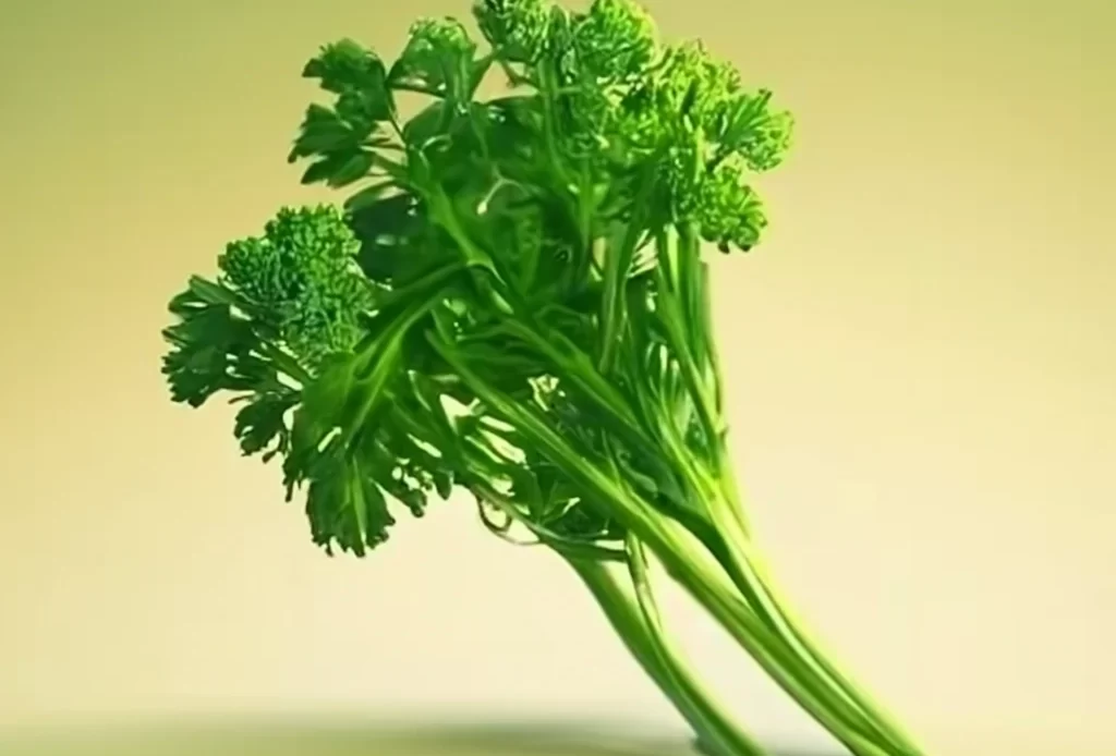 parsley health benefits