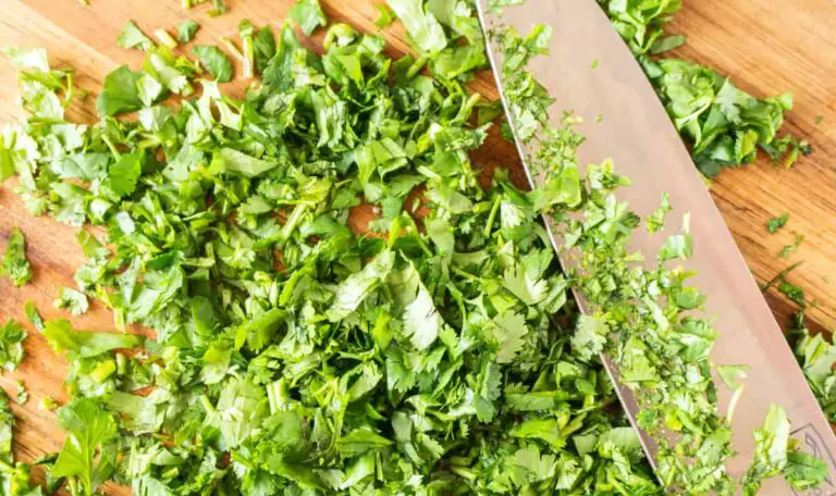 how to cut cilantro
