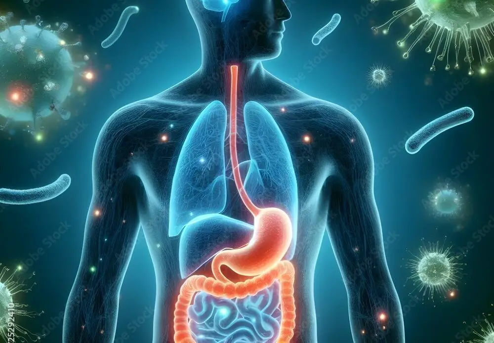 Human silhouette with glowing stomach brain connection and expanded microscopic view of gut bacteria germs microorganisms surrounding the human , medical  healthcare concept