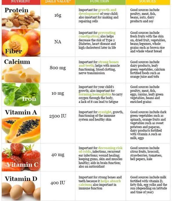 table showing important nutrients