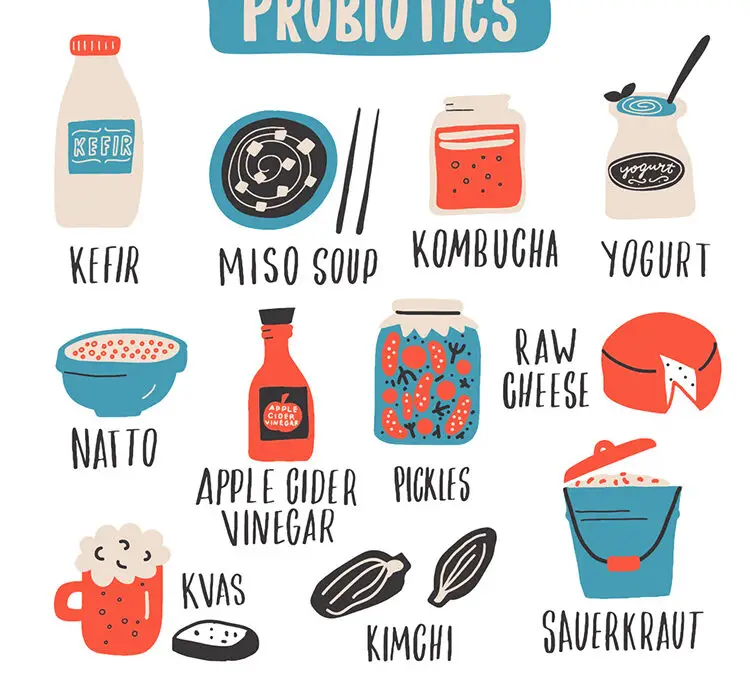 probiotics for gut health
