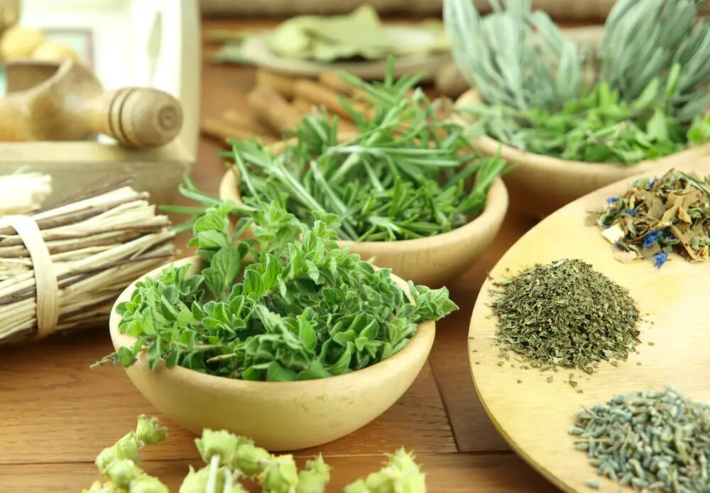 detoxification herbs