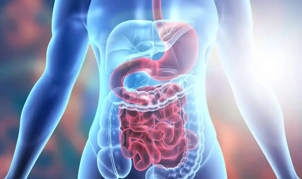 detoxification of digestive system