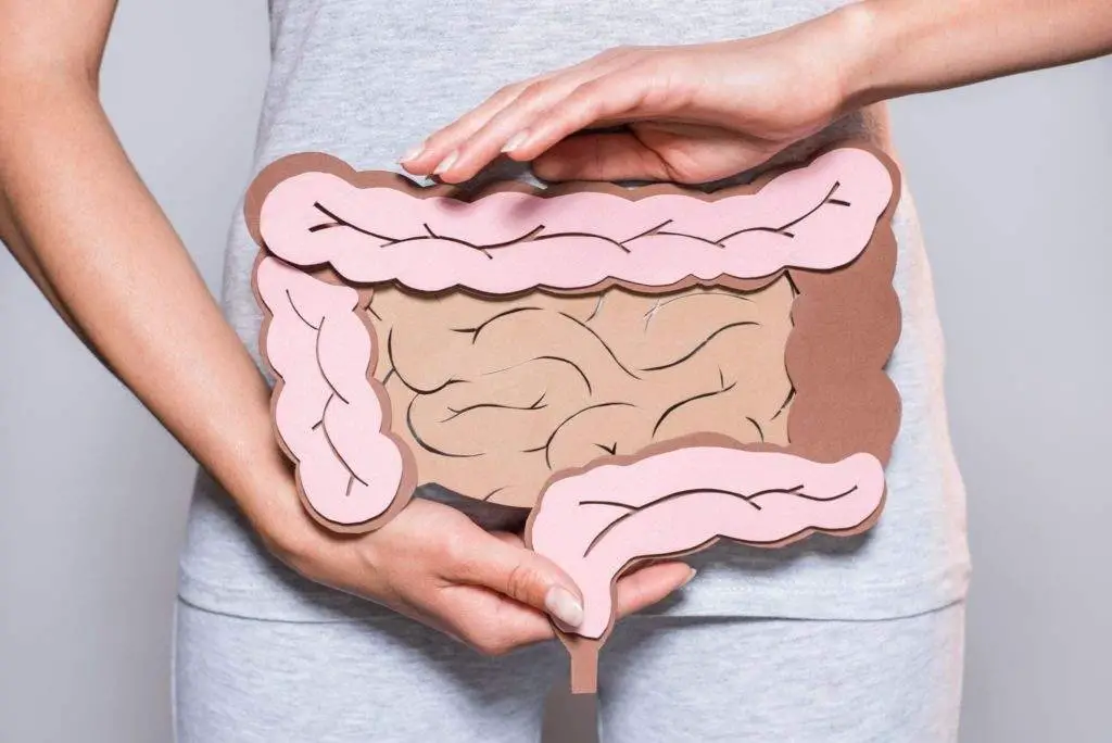 woman showing illustration of gut health