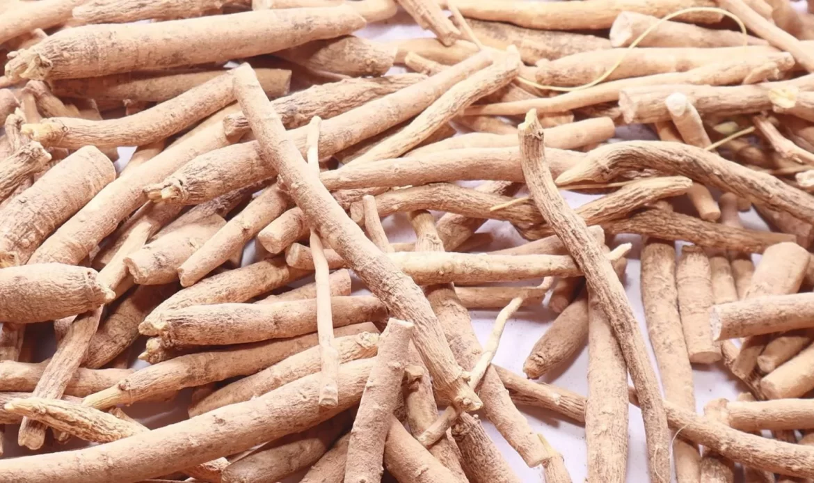 ashwagandha_root