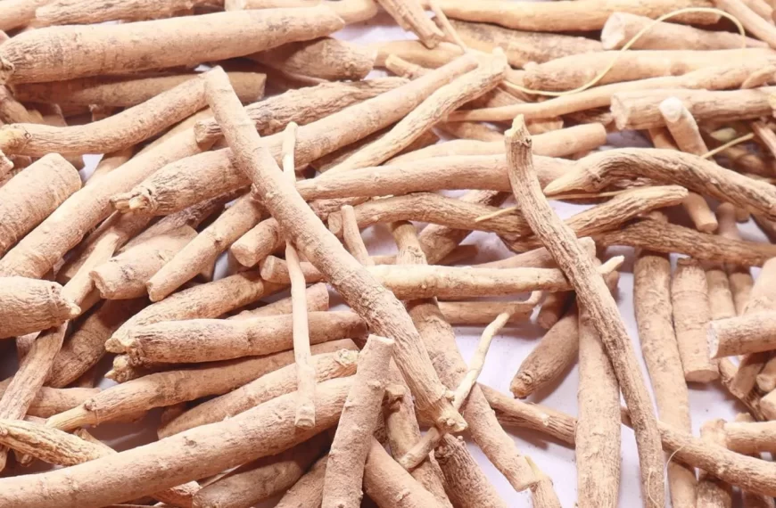 ashwagandha_root